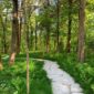 The Moss Gibbs Woodland Garden Stone Path